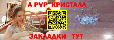 стаф Донецк
