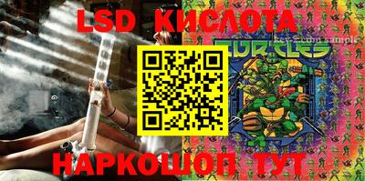 стаф Донецк