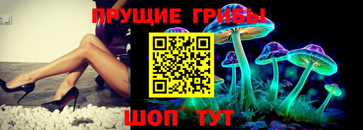Галлюциногенные грибы ЛСД  Вход с VPN  Кольчугино  Галлюциногенные грибы Magic Shrooms 